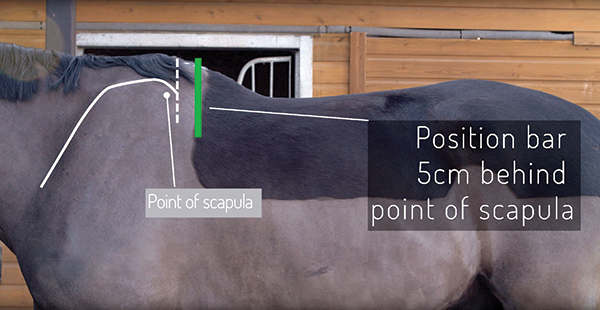 gullet position